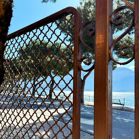 Vista - Collection 多马索