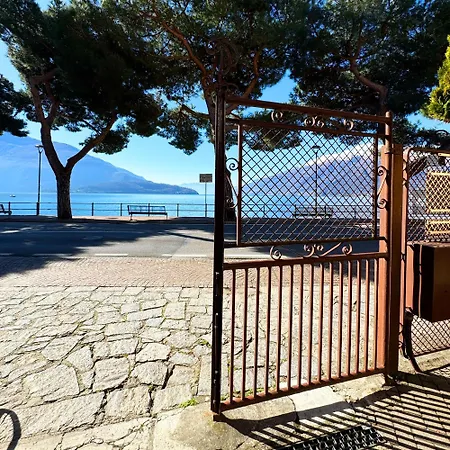 Vista - Collection *