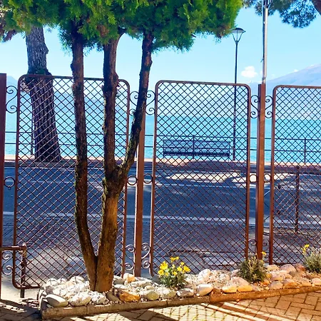 Vista - Collection 도마소