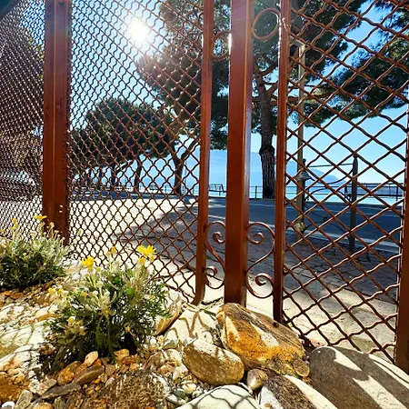 Vista - Collection 도마소