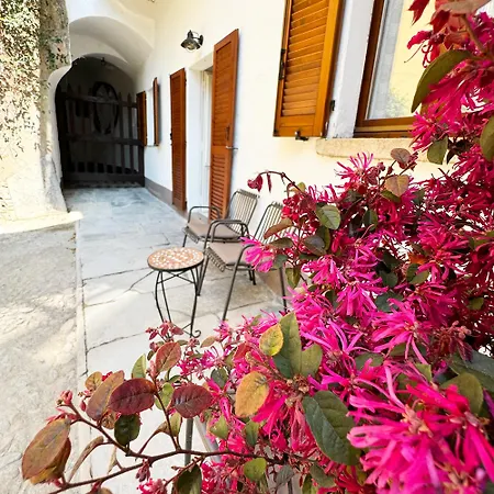 Vista - Collection Apartment Domaso