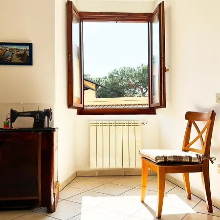 Vista - Collection *