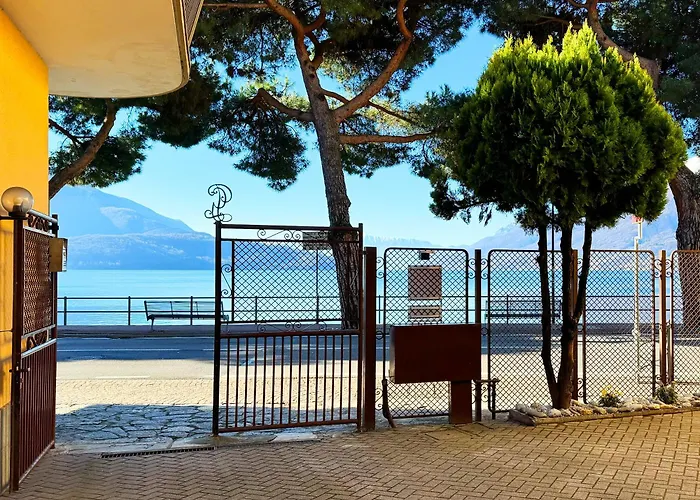 Vista - Collection * דומאסו