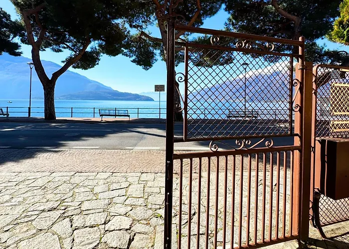 Vista - Collection *