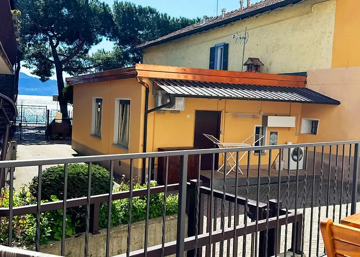 Vista - Collection דומאסו