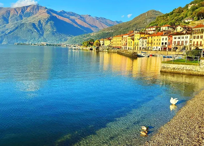 דירה Vista - Collection