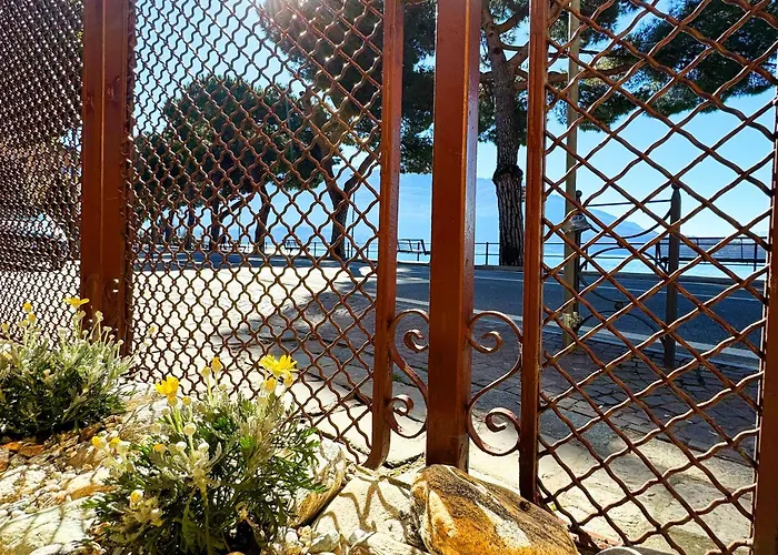 Vista - Collection Domaso
