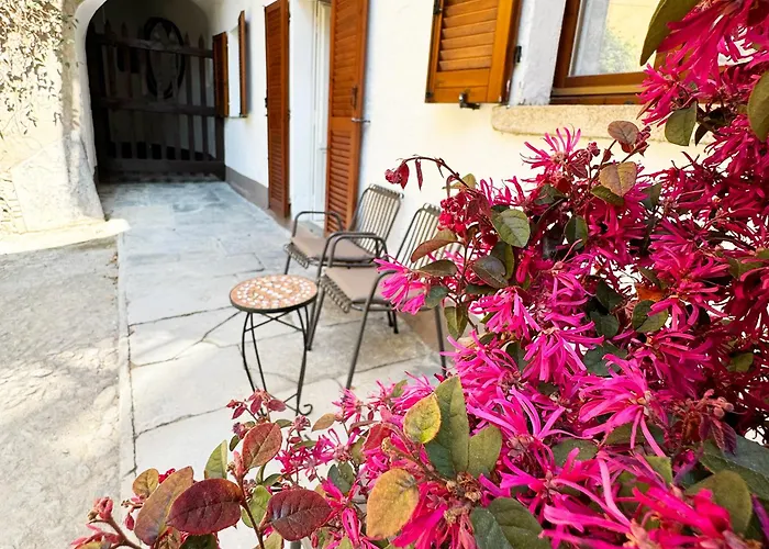 Vista - Collection Appartement Domaso