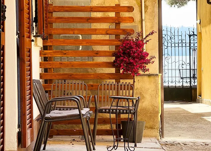 Vista - Collection *