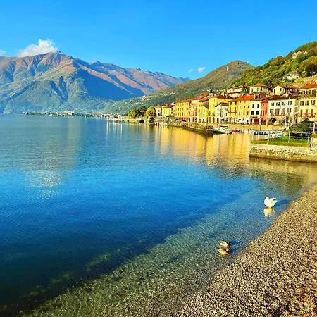 Lejlighed Vista - Collection